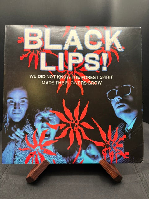 Black Lips - We did not know the forest spirit made the flowers grow